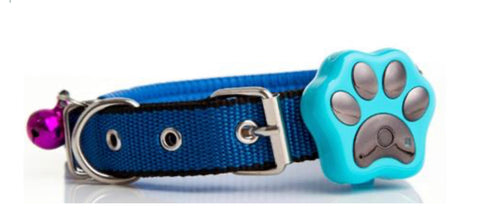 KOOL PET PRODUCTS