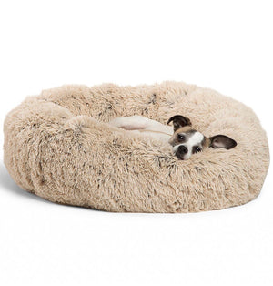 BOUGIE PET FURNITURE AND BEDDING