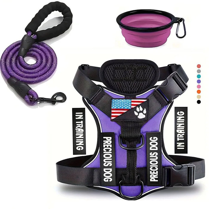 Reflective Service Dog Harness and Leash Set