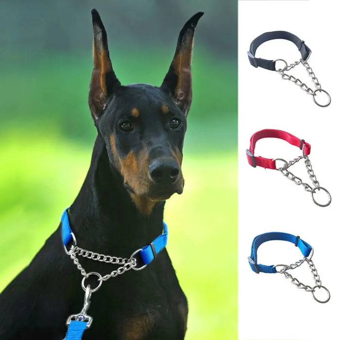 Adjustable Nylon Dog Training Collar - Large