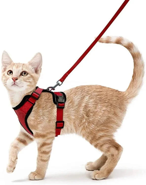 Escape-Proof Cat Harness & Leash Set - Adjustable