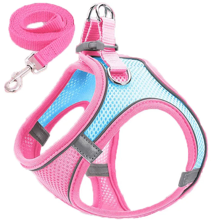 Adjustable Reflective Dog Harness & Leash Set
