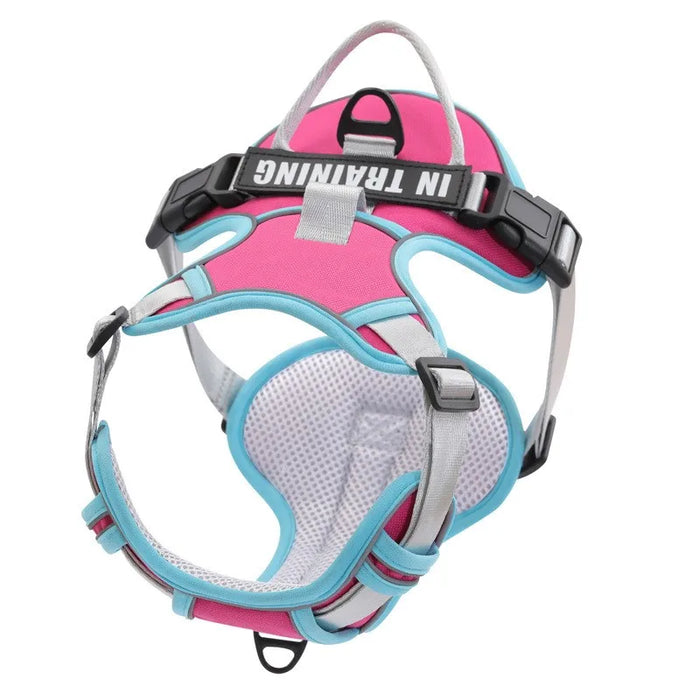 Custom Reflective Dog Harness & Leash Set