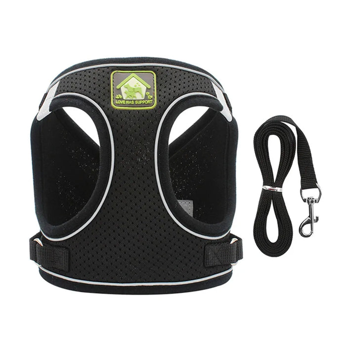 Adjustable Anti-Escape Cat Harness & Leash Set