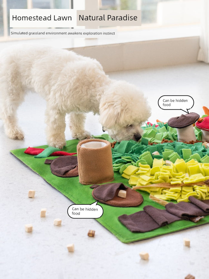 Dog Sniffing Mat for Food & Fun
